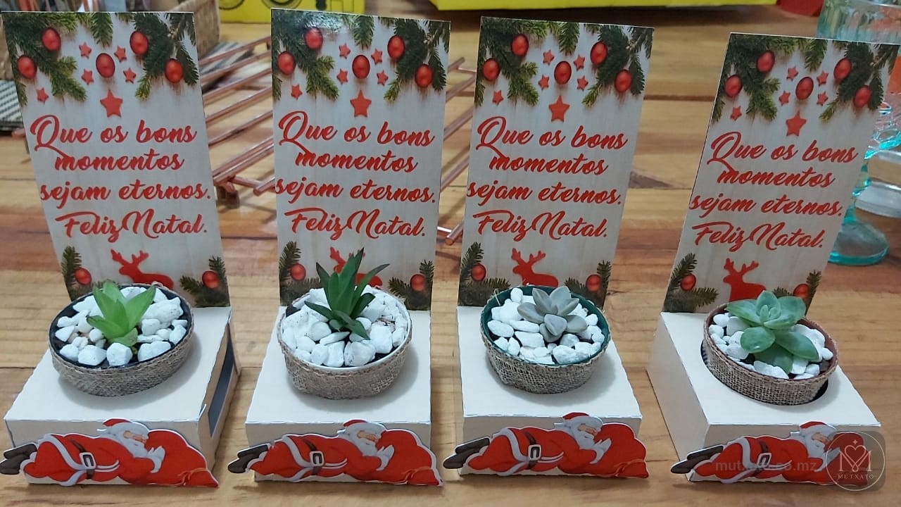 Suculândia